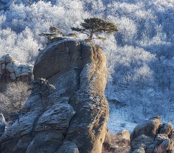 Морозное утро весеннего Крыма