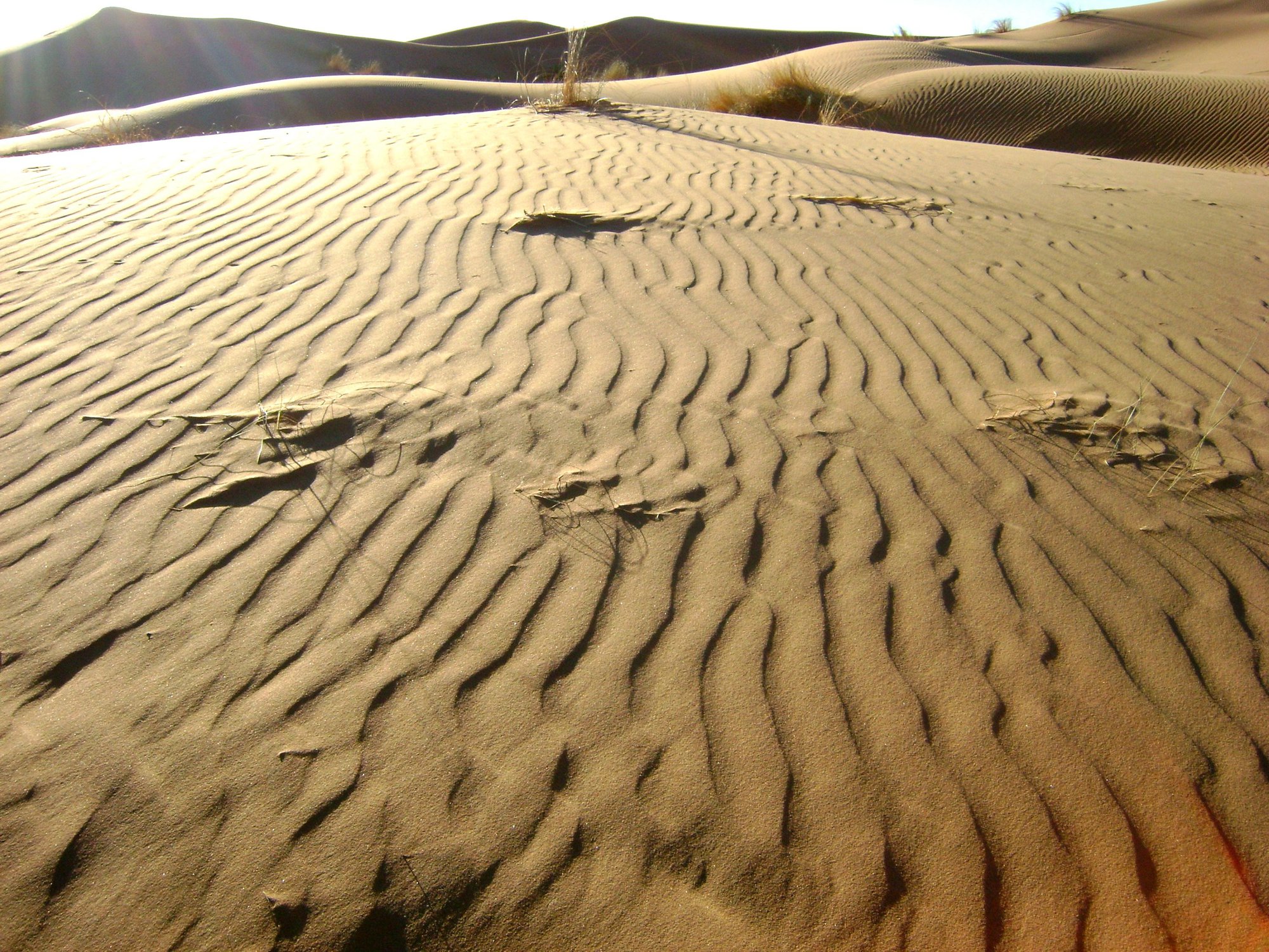 Песчаная зыбь, Сахара