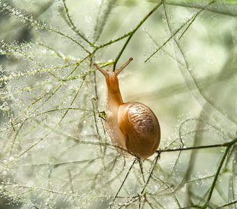 Сказочное мгновенье