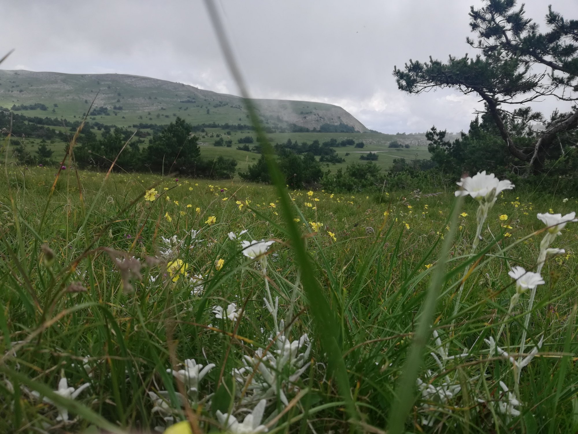 Крымские просторы