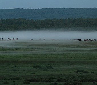 Вечер за рекой.