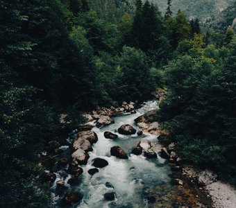 Бегство из рая