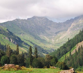 Место для поиска смыслов