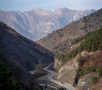 Медитативные виды