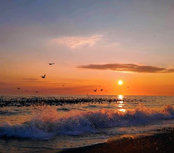 Тихий океан. Закат