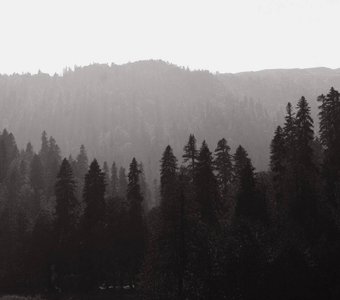 Тайный флаг