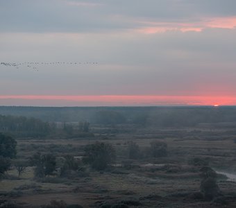 В теплые края .