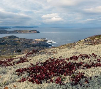 Разноцветный е