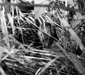 Встретились взглядом