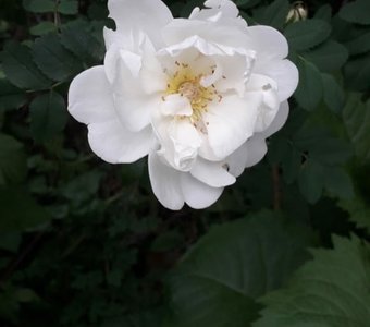 Одиночество