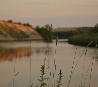 Июньская нежность