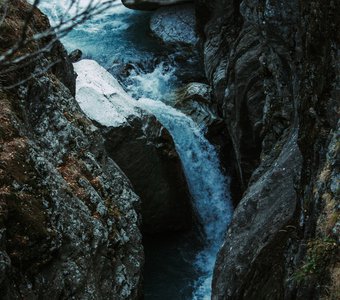 Голос природы