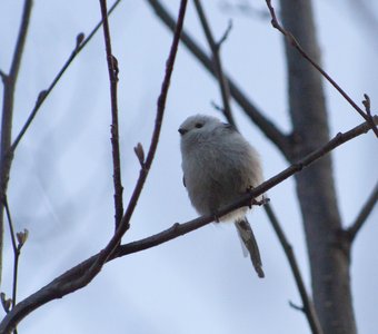 пора отдохнуть