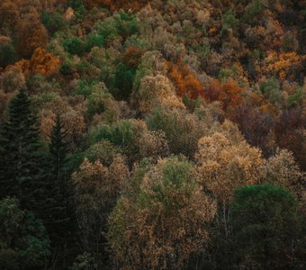 Золотые пики
