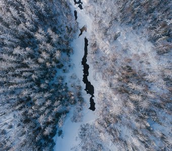 Оттенки зимы