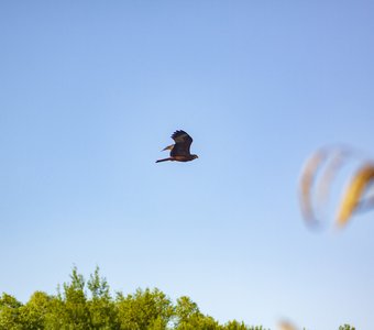 Облёт территории