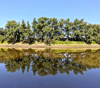 Отражение реки Омь