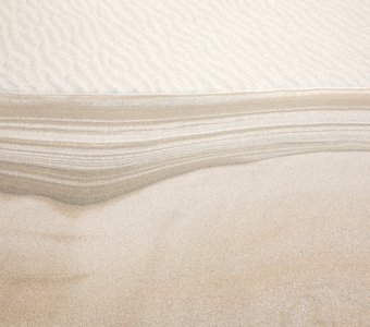 Линии жизни песчаной пустыни
