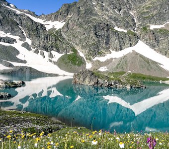 Цветы в горах