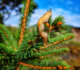 До Нового года осталось 128 дней