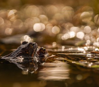 весенняя романтика