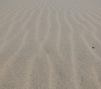 Знаки на песке