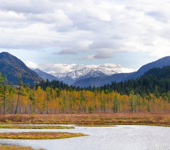 Золотая осень в Хамар-Дабане