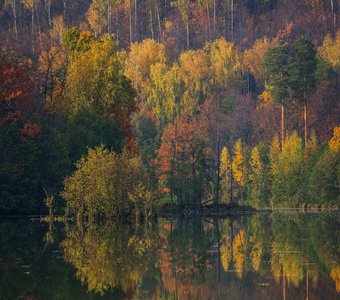 Картины осени