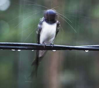 Головокружение