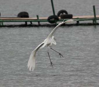 Неуклюжая посадка на воду