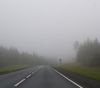 Туманное утро на трассе M8