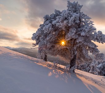 Зимние лучи