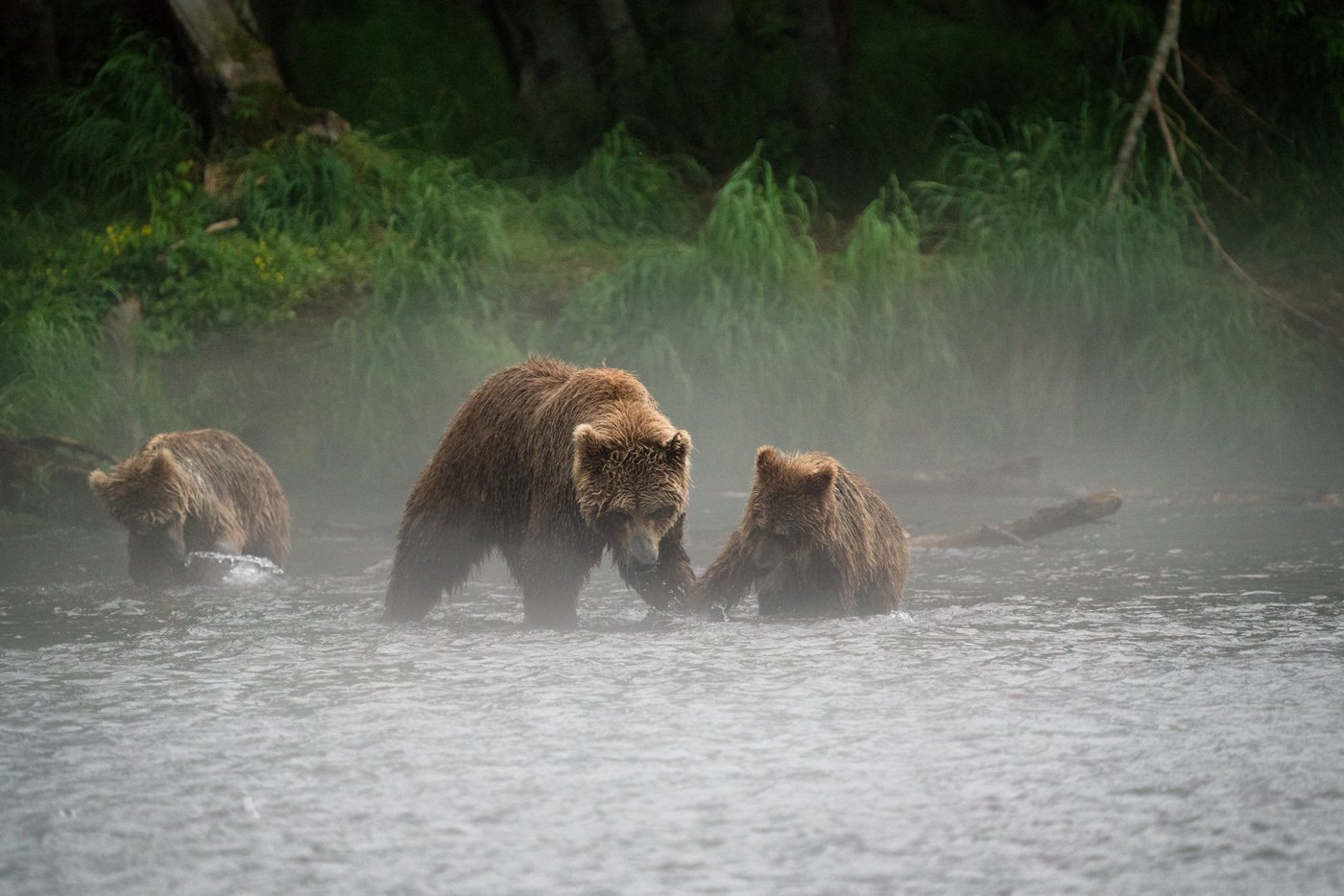 Обучение рыбной ловли