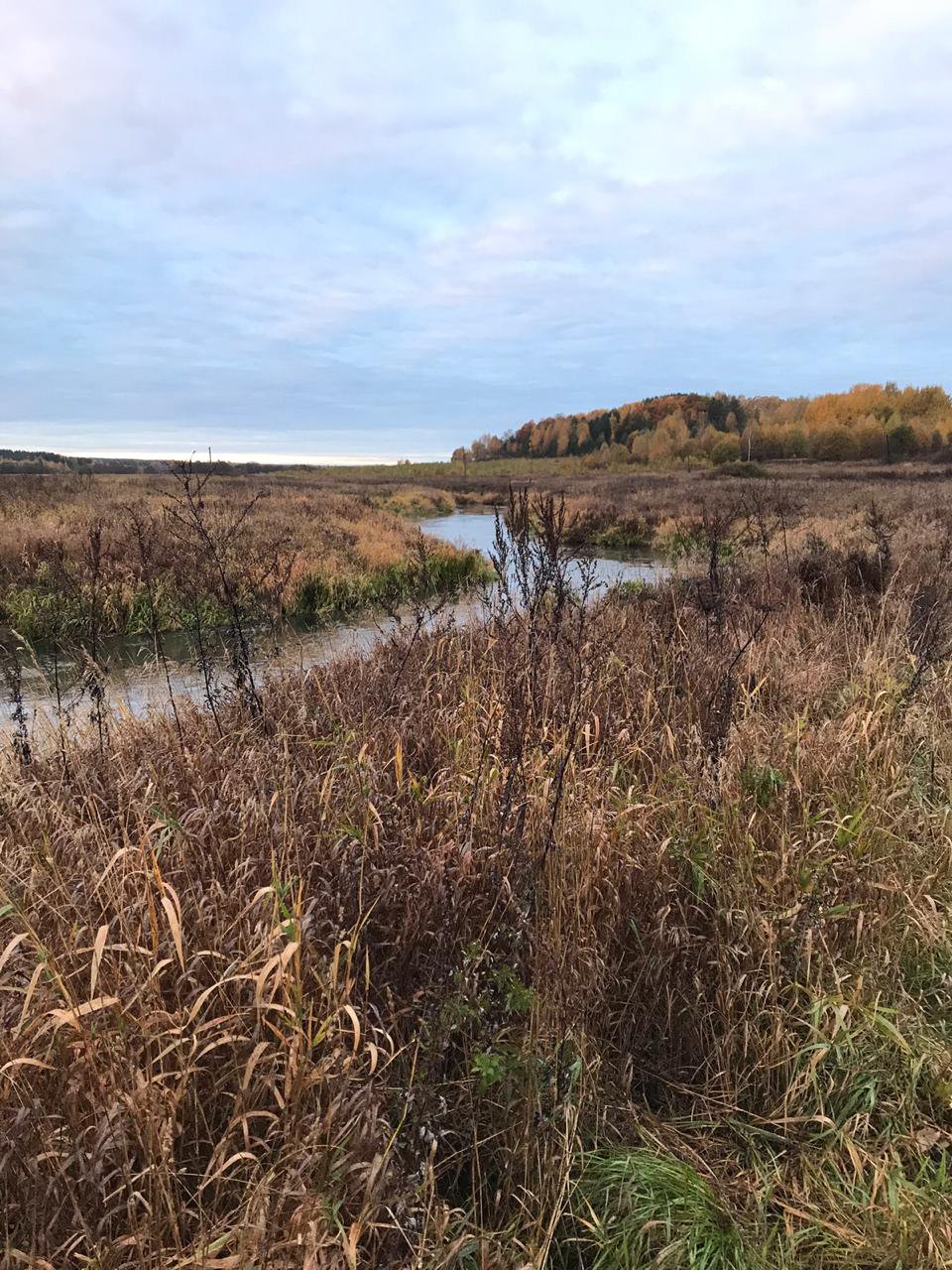 Хлынувшие с лазурного неба играющие лучи залили золотом пойму реки Устье