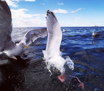 Кто успел, тот и съел.