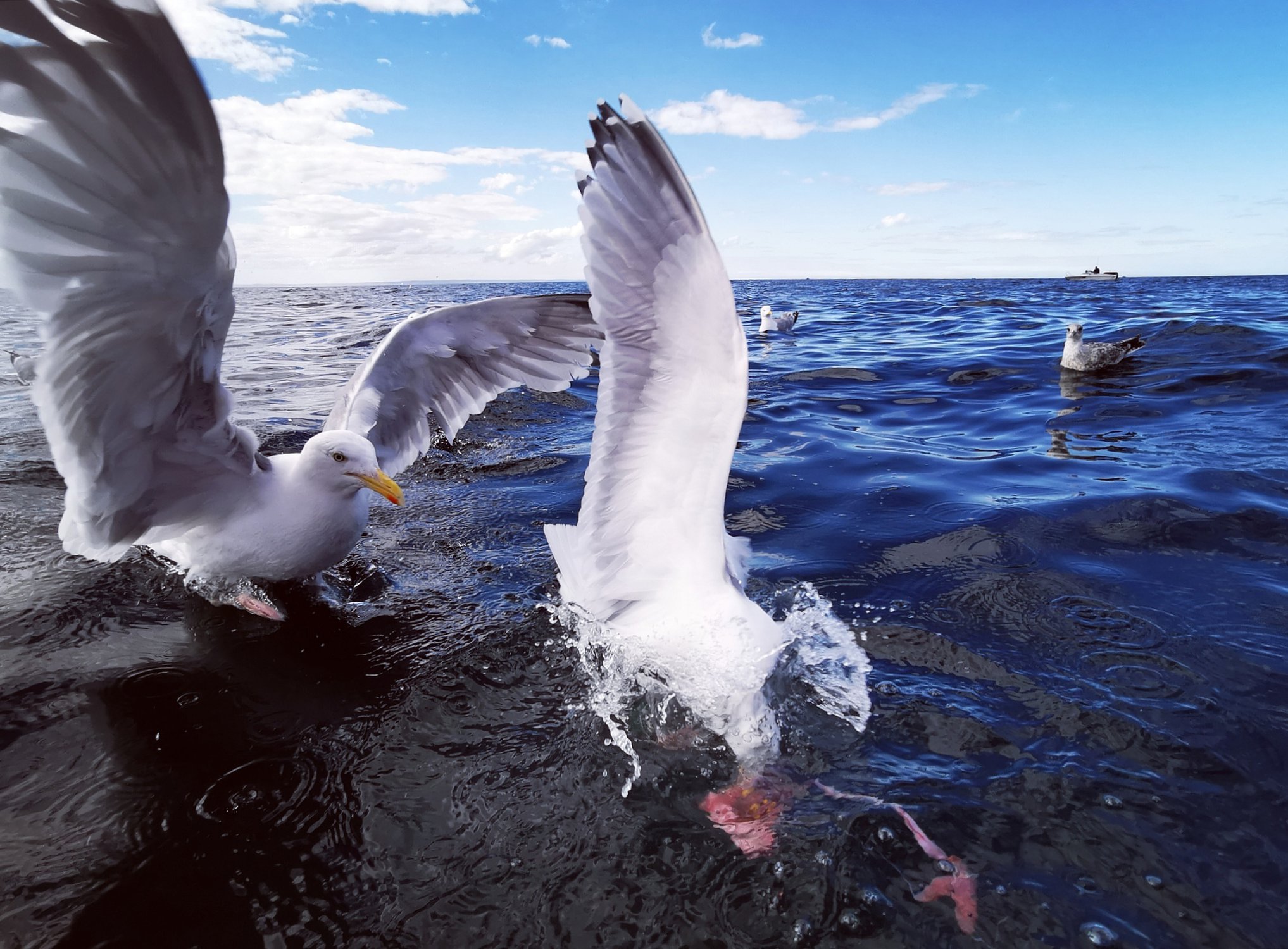 Кто успел, тот и съел