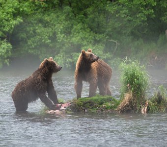 За трапезой