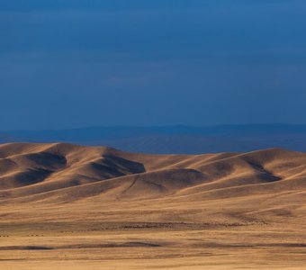 Аксамит песочного оттенка