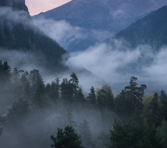 Туман окутывает горный лес на рассвете.