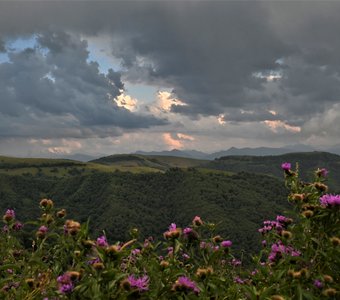 Грозовой перевал