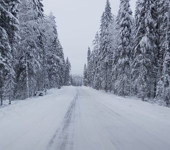 Где-то в Карелии