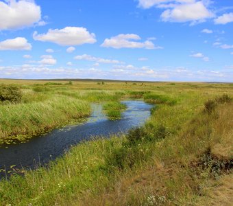 Аркаим. Степь.