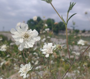 хранитель памяти
