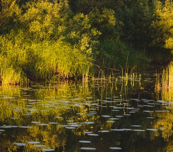 Впечатления лета