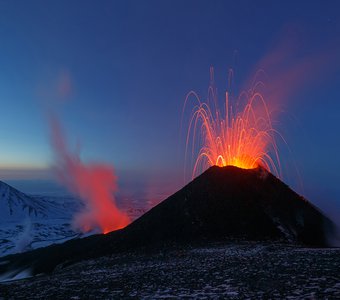 Корона для королевы