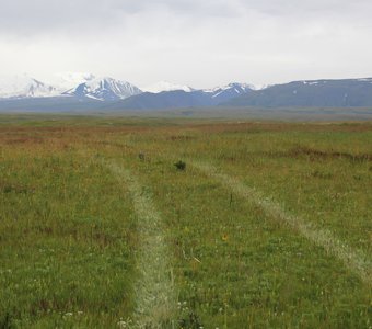 Путь по траве