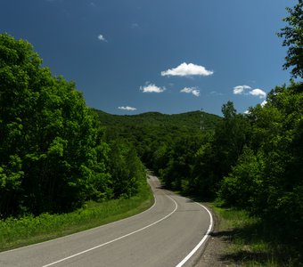 Road Through Far Eastern Forest