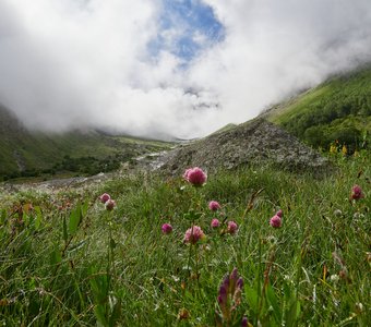 Свежесть утренней росы.