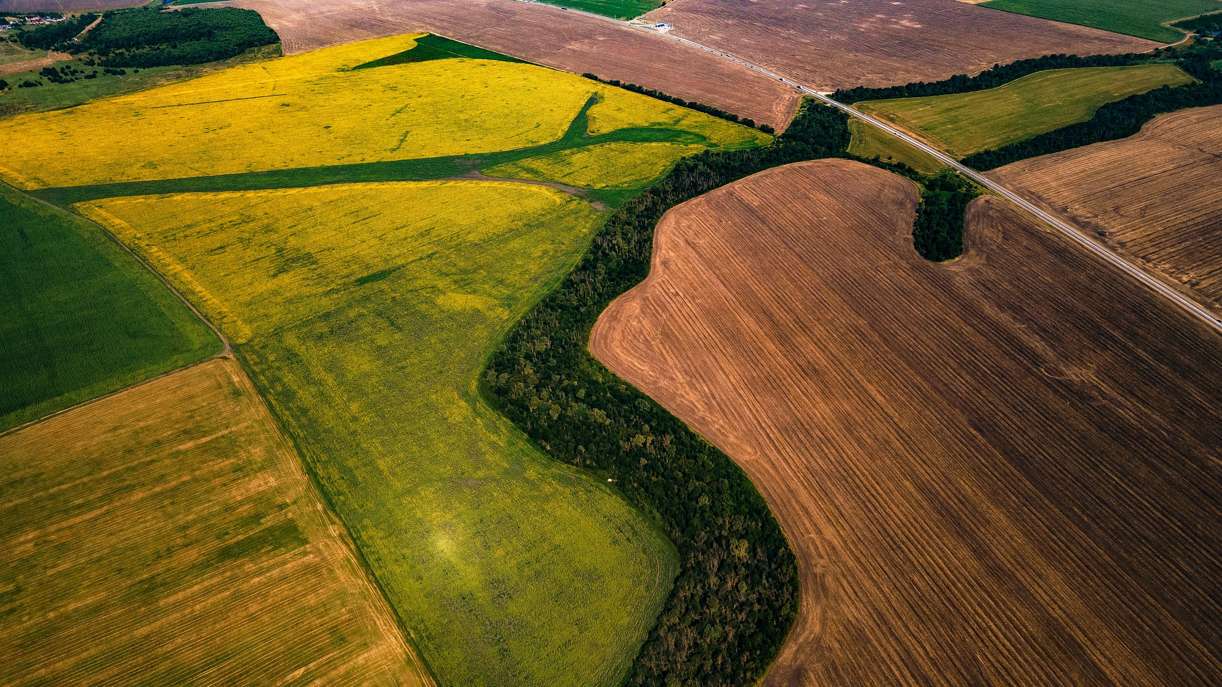 Текстура поля