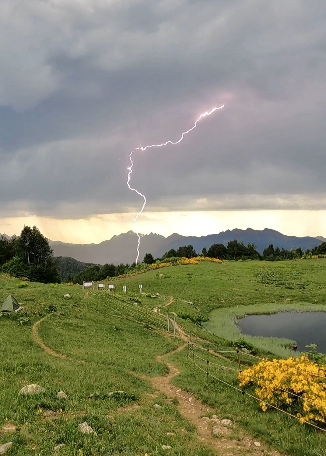 Гроза на рассвете